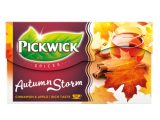 Pickwick – Spices Autumn Storm zwarte thee – 20 zakjes